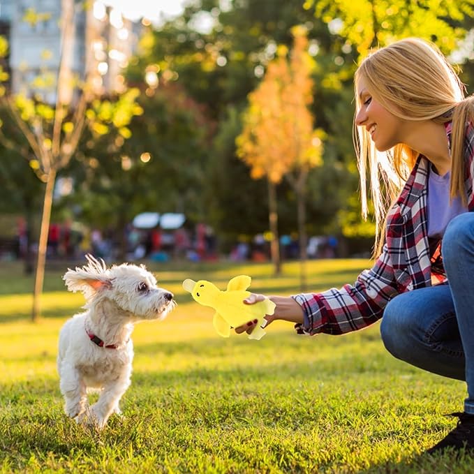 EXPAWLORER Plush Squeaky Duck Dog Toy - Soft Stuffed Small Dog Toys Cute Yellow Duck, Best Birthday Gift Interactive Filled Chew Toys for Puppy Small Medium Dogs Biting Training Teething, 2 Pack