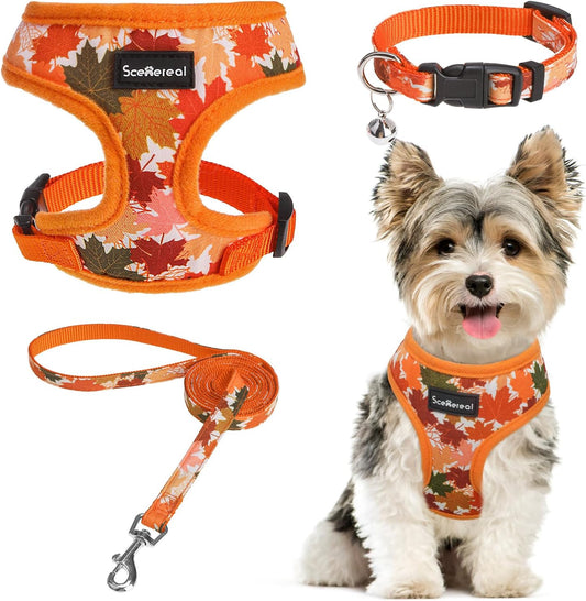 SCENEREAL Fall Dog Harness Collar and Leash Set for Small Dogs, Orange Leaf No Pull Dog Harnesses, Adjustable Step in Pet Vest for Doggie Puppy Cats Walking Outdoor, Chihuahua Yorkie Harness XS