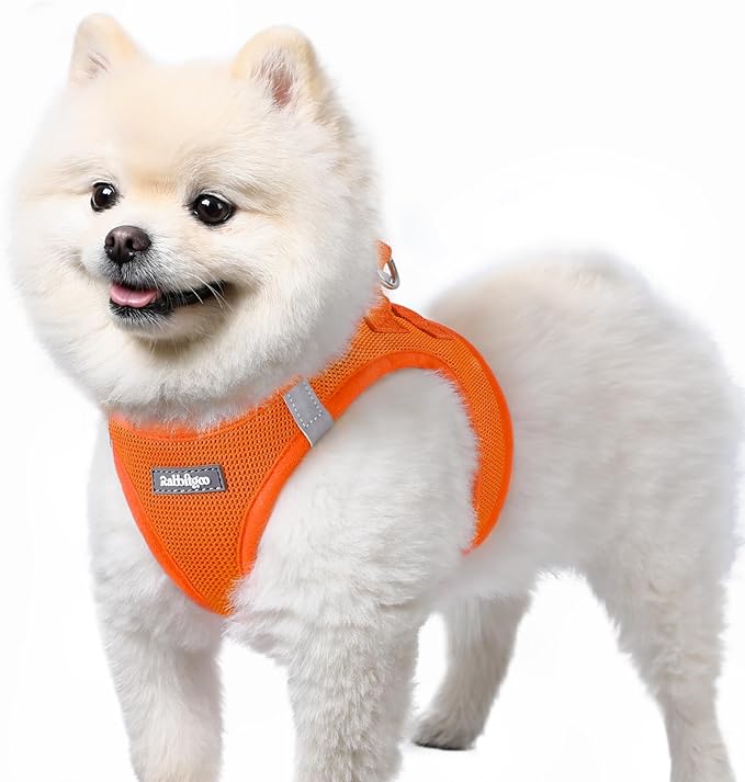 rabbitgoo Small Dog Harness, Step-in Soft Mesh Puppy Vest with Safety Buckle, Breathable Reflective Pet Harness for Small Sized Dogs, Orange S