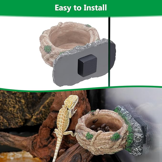 Magnetic Reptile Feeding Ledge, Gecko Feeder Ledge with One Piece Cup, Hollow Vine Food Dish, Reptile Water Bowl for Bearded Dragon Lizard Snake