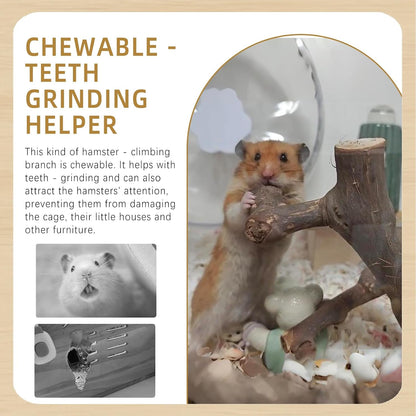 kathson 2PCS Wood Hamster Climbing Branches Decor, Natural Wooden Syrian Hamster Climb Chewing Toys, Rat Exercise Toys, Small Animal Habitat Decor Accessories for Dwarf Pets, Gerbils, Mice (7.8IN)