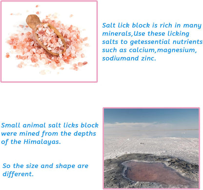 PINVNBY Rabbit Himalayan Salt Lick Block,Small Animals Chew Toys Rabbits Pink Natural Mineral Salts Blocks for Horses Bunny(8 Pcs)