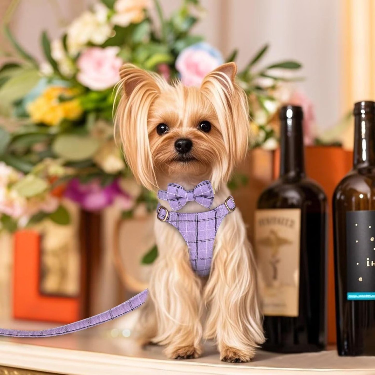 Beirui Cute Extra Small Dog Harness Collar and Leash Set with Bowtie, Soft Adjustable Plaid Puppy Harness for Small Sized Dogs Cats Walks Parties and Photoshoots(Purple,XXS:Chest 12-14")