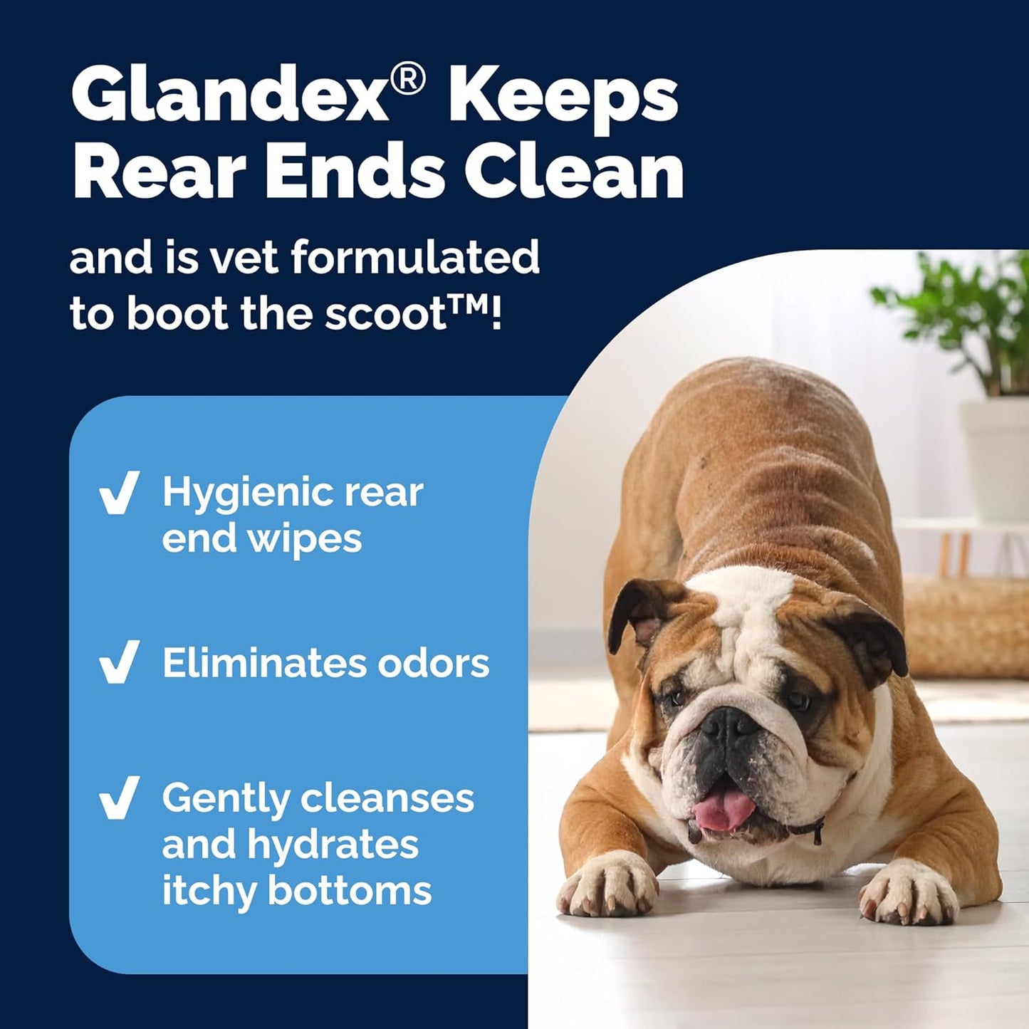 Vetnique Glandex Dog Wipes for Pets Cleansing & Deodorizing Anal Gland Hygienic Dog & Cat Wipes with Vitamin E, Skin Conditioners and Aloe Labs (100ct)