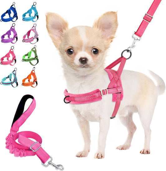 Lukovee No Pull Dog Harness and Leash Set, Soft Padded Small Dog Harness, Neck & Chest Adjustable Reflective Vest Puppy Harness with 4ft Lightweight Anti-Twist Dog Leash for Small Dogs (S, Pink)