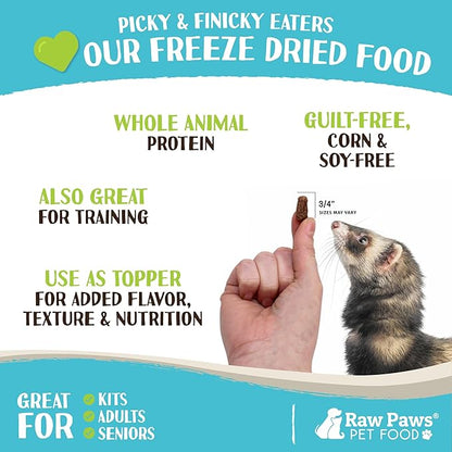Raw Paws Freeze Dried Ferret Food - Chicken Recipe 16-oz - Made in USA - Grain Free Diet for Small, Adult, Senior & Baby Ferrets - Use as Treats for Rewarding & Training, Ferret Food Dry