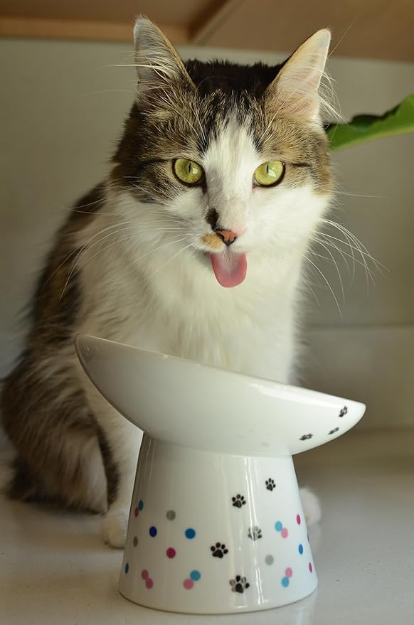 Necoichi Raised Cat Food Bowl – Ceramic Elevated 15° Tilted Cat Bowl for Whisker & Neck Fatigue Dishwasher Microwave Safe – Non-Slip Anti Vomiting Ergonomic Design (Colorful Dots, Extra Wide Tilted)