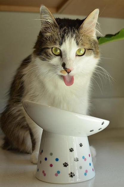 Necoichi Raised Cat Food Bowl – Ceramic Elevated 15° Tilted Cat Bowl for Whisker & Neck Fatigue Dishwasher Microwave Safe – Non-Slip Anti Vomiting Ergonomic Design (Colorful Dots, Extra Wide Tilted)