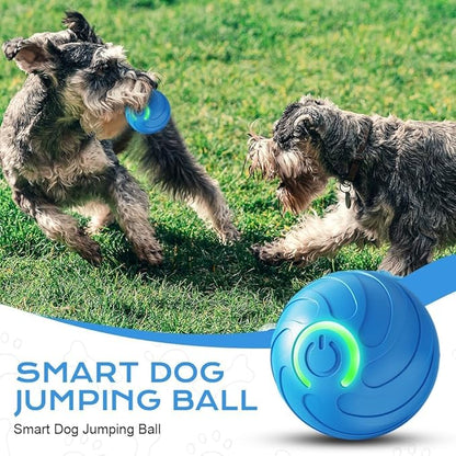 2 Packs Smart Jumping Ball for Dogs,2025 New Vibrating DogBall, Smart Jumping Ball DogToy, Interactive DogBall, Shaky BallToy for Dogs, BouncingBall for Dog, for Small Medium Large Dog
