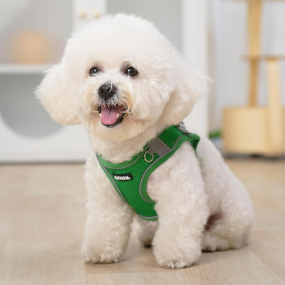 AIITLE Easy Walk Dog Harness and Leash Set - Pet Supply No Pull, Step in Adjustable Pet Harnesses with Padded Vest for Summer, No Choke Over, Easy to Put on Medium Dogs Green L
