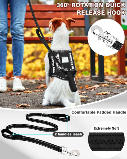 Service Dog Vest Harness and Leash Set+10 Patches for Puppy Small Dogs,Do Not Pet Emotional Support Dog Vest with 2 Soft Padded Handle for Everyday/Training (Black XS)