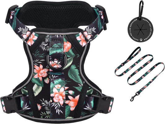 Petmolico Dog Harness for Small Dogs, Cute Harness Vest with Two Leash Clips and Soft Handle, Reflective Easy Walk Puppy Vest - Black Lotus, Small