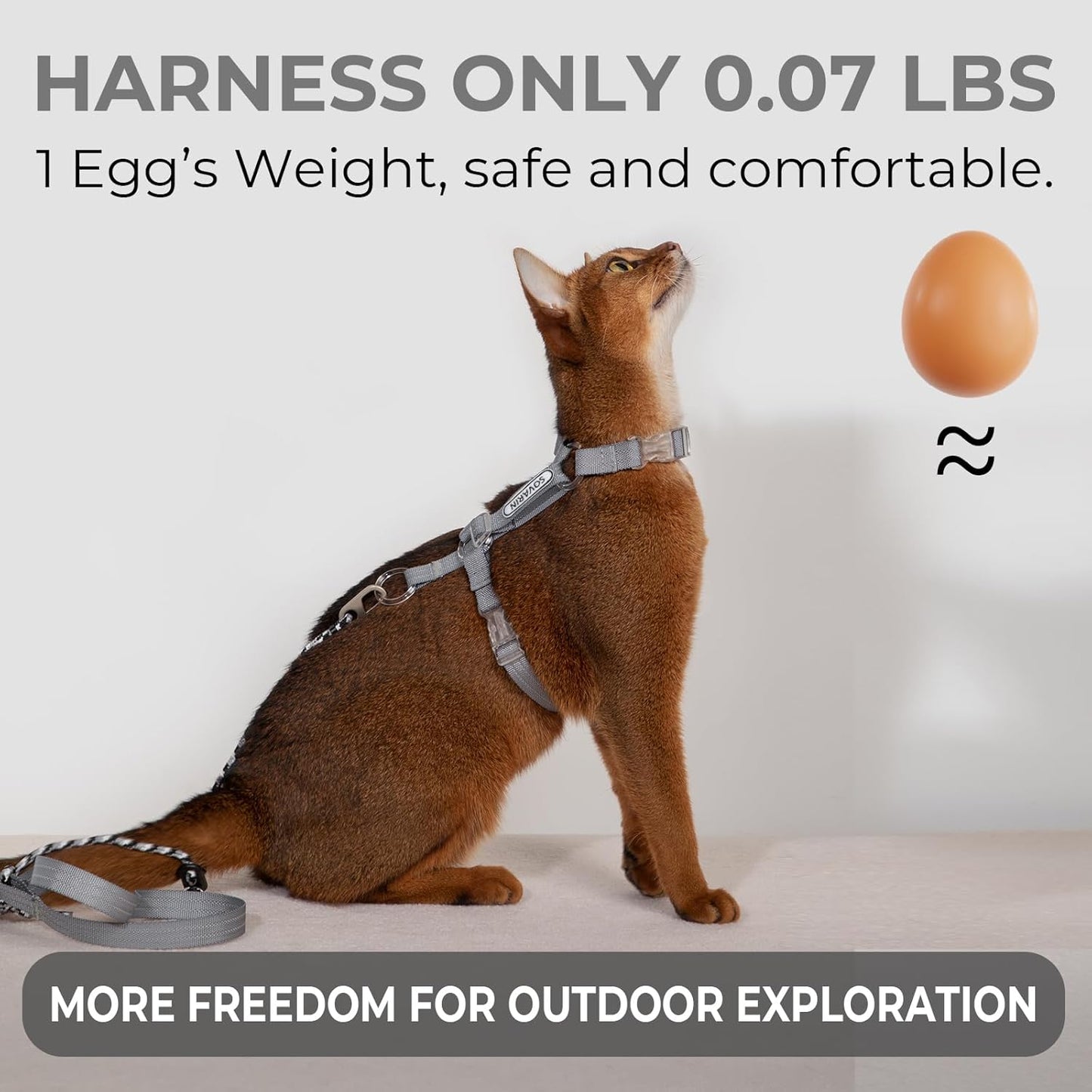 Cat Harness and Leash Set - Grey Lightweight Soft Kitten Harness Escape Proof, Adjustable Travel Pet Harness for Walking，Easy Control Comfortable Outdoor (Grey, One Size Fits All)