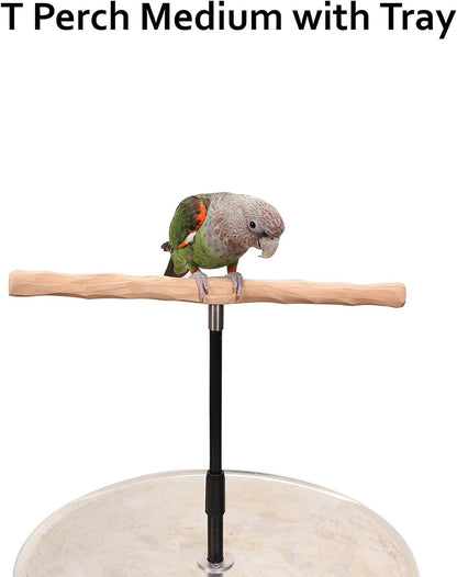 Parrot Training Perch Stand with Potty Tray (T Perch, Medium)