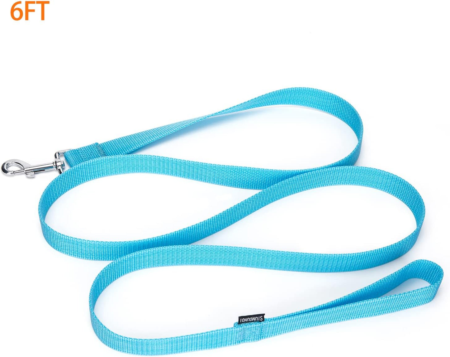Strong Durable Nylon Dog Training Leash, 1 Inch Wide Traction Rope, 6 ft Long, for Small and Medium Dog (Mint Blue, 6 Feet)
