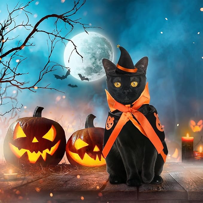Frienda 3 Pieces Cat Halloween Vampire Costume Includes Vampire Costume Cloak Wizard Hat and Cat Bat Wings for Kittens Pet Halloween Party Cosplay Accessories(Orange,Pumpkin)