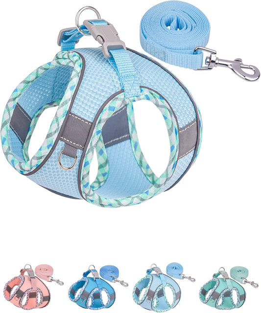Petank Dog Harness for Small Medium Dogs No Pull, Puppy Harness and Leash Set,Step in Dog Harness for Walking, Running, Training, Small Dog Vest(Light Blue, XXS)