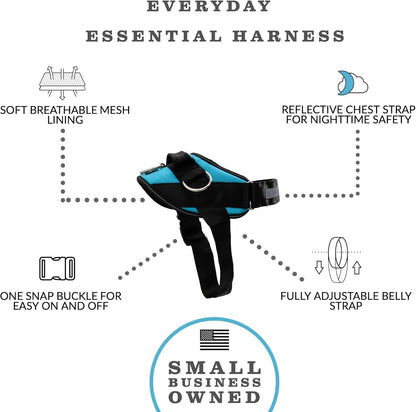ShawnCo Essential Dog Harness, No-Pull Pet Vest with 3 Leash Clips, No Choke, Reflective, Adjustable and Padded, for Easy Walking and Training for Small, Medium and Large Dogs (Oceanic Blue, XL)