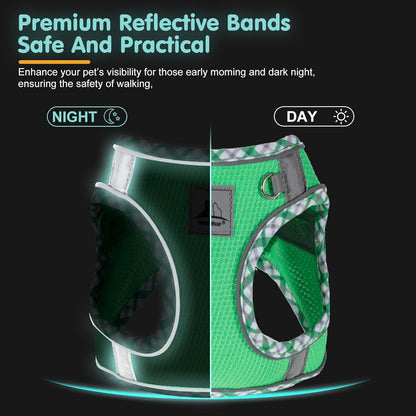 Dog Harness and Leash Set, No Pull Pet Harness for Small Dogs Easy Walking,Soft Breathable Small Dog Harness,Adjustable Reflective Step in Vest Harness for Puppy,Kitten, Cats