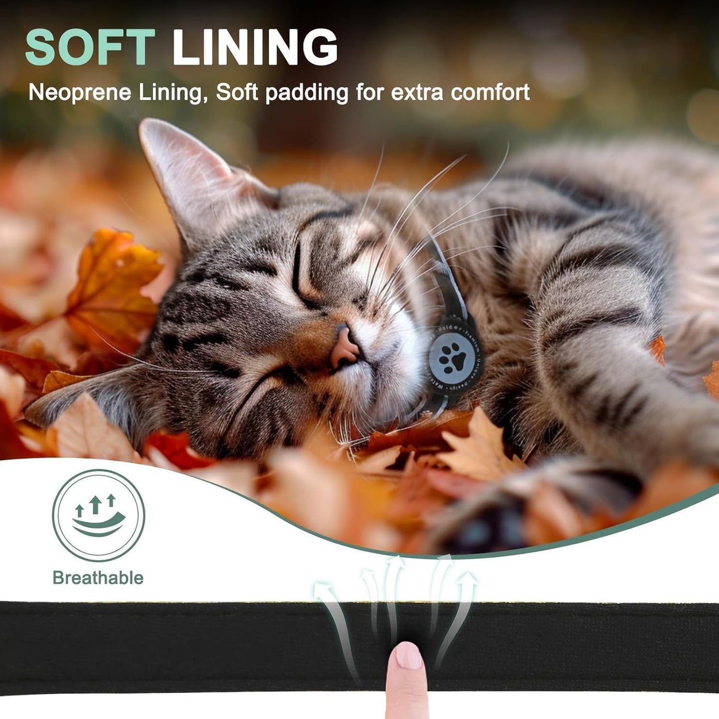 Airtag Cat Collar Breakaway, Reflective Cat Collar with AirTag Holder and Bell, Compatible with Apple Air Tag, Comfortable Padding, Adjustable, Durable (Blue, XS)