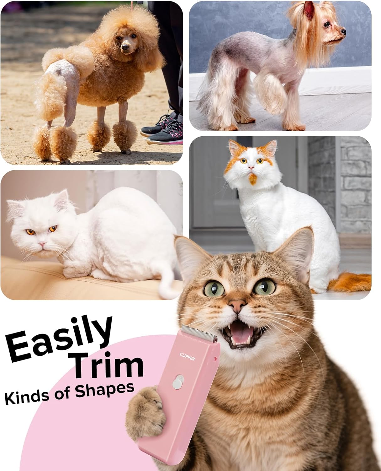 Pet Clippers for Dog Hair Grooming Low Noise, Rechargeable Cordless Cat Shaver with Ceramic Blade,Portable Pet Hair Trimmer for Matted & Long Hair