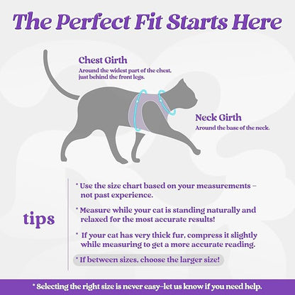 rabbitgoo Cat Harness and Leash Set for Walking Escape Proof, Adjustable Soft Kittens Vest with Reflective Strip for Cats, Comfortable Outdoor Vest, Purple, M