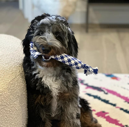 rocket & rex Dog Rope Tug Set for Small Breeds, Includes Ropes with Rubber Interiors, a Squeaker & Crackle Lining, Reduces Destructive Chewing & Anxiety (Pack of 4)