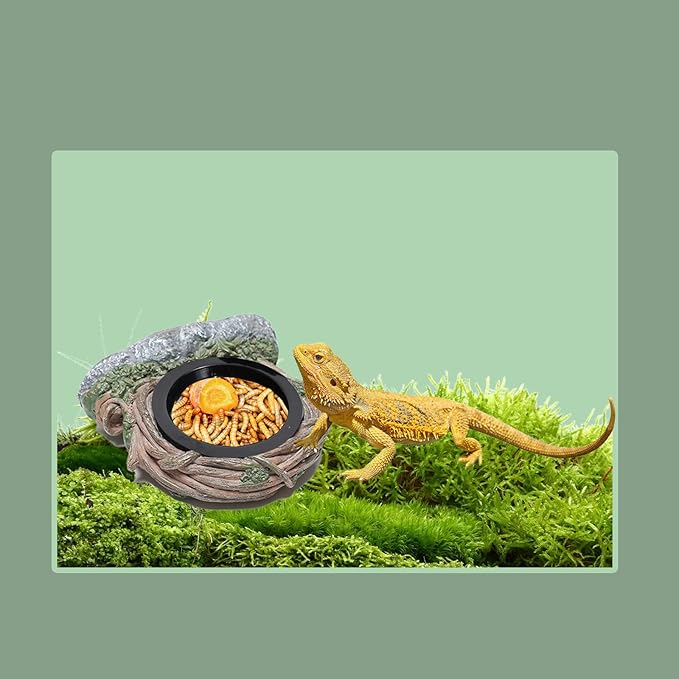 Reptile Feeding Ledge with 2 Cups, Hollow Vine Food Dish & Water Bowl for Bearded Dragon, Gecko, Lizard & Snake – Reptile Tank Accessories for Terrariums