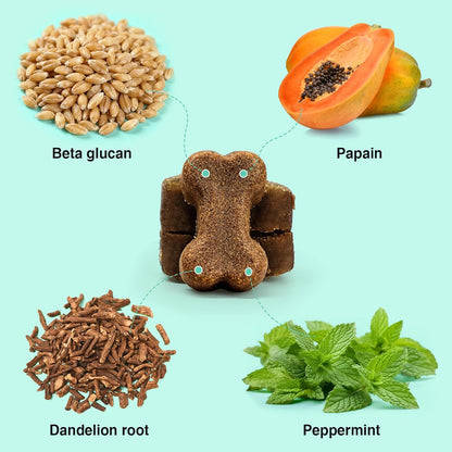 Premium Probiotics for Dogs with Digestive Enzymes & Fiber | Duck Flavor Soft Chews for Itchy Skin, Ear Health, Gut & Immune Support (Pork)