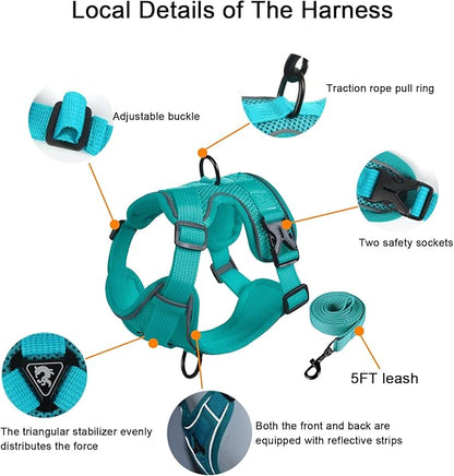 SOLMOONY Small Dog Harness,Soft Mesh Puppy Harness and Leash Set,No Escape Cat Harnesses for Training Walking,Reflective Adjustable Puppy Vest for Small Medium Dogs, Cats (Turquoise, L)
