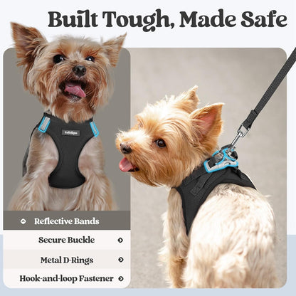 rabbitgoo Dog Harness Small Sized and Leash Set, Step in Soft Light Puppy Vest, Breathable Mesh Pet Harness, Reflective for Safe Easy Walking, Black M