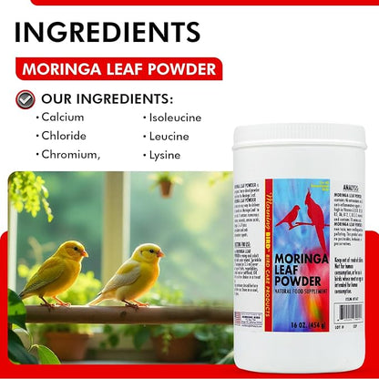 Morning Bird Moringa Leaf Powder 16 Oz – Natural Food Supplement with Omega-3, Iron, Vitamins B & K – Supports Detox, Energy, Brain & Immune Health – Clean Plant-Based Supplement for All Birds