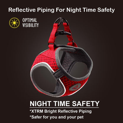 DOCO Dog Harness for Medium Sized Dog - Athletica Adjustable, No Pull, No Choke, Puppy Vest Lightweight Air Mesh, Reflective, Puppy Essentials – Turquoise, Medium (Chest 16"-17", Weight 10–15 lbs)