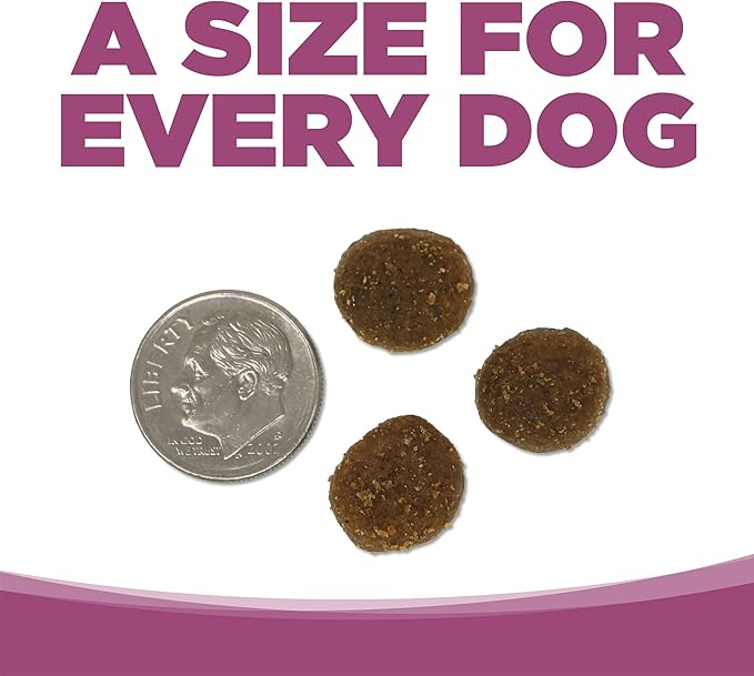 NutriSource Element Series Wild Range Dry Dog Food, Chicken, Pork & Bison, 12LB