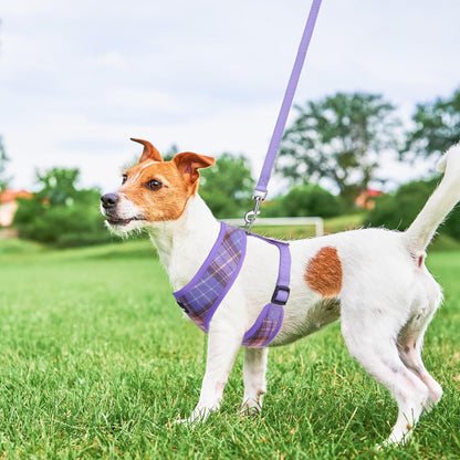 SCENEREAL Puppy Dog Harness with Leash Set for Small Medium Sized Dogs, Soft Mesh Step in Pet Harnesses and Leash, No Chock Plaid Adjustable No Pull Vest for Dogs Cats, Chihuahua,Bulldog (Purple M)