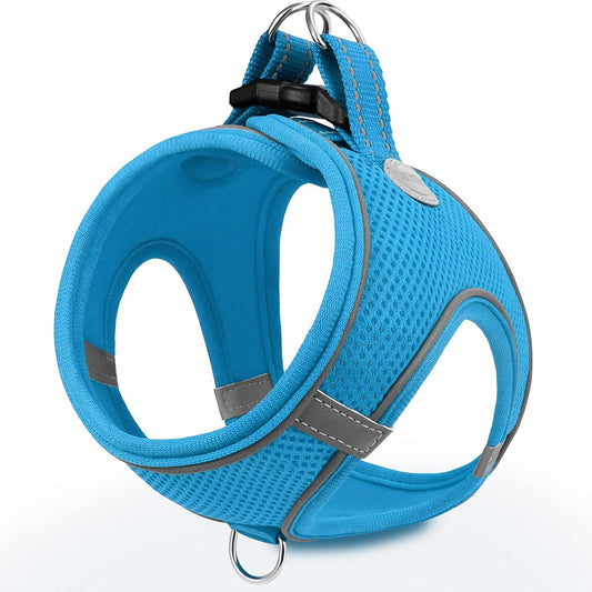 Joytale Small Dog Harness, Breathable Mesh Step-in Vest, Reflective Soft Padded Harnesses Small Sized Dog for Walking, Sky Blue, S