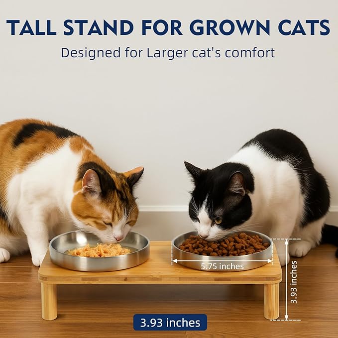 Elevated Cat Bowls for Indoor Cats – Raised Bamboo Cat Food Table with 2 Stainless Steel Dishes, Adjustable Height (4.25"/3.07"), Set of 1