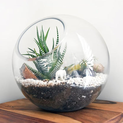 3PCS Glass Terrariums for Plants Glass Fish Bowls Plant Terrarium Air Plant Planter Desktop Bubble Bowls Clear Vases Air Plants Holders Succulent Terrarium