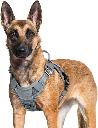 rabbitgoo Dog Harness for Large Dogs No Pull, Tactical Service Pet Vest with Molle and Control Handle, Adjustable and Reflective Military Harness for Easy Walking and Training, Grey, XL