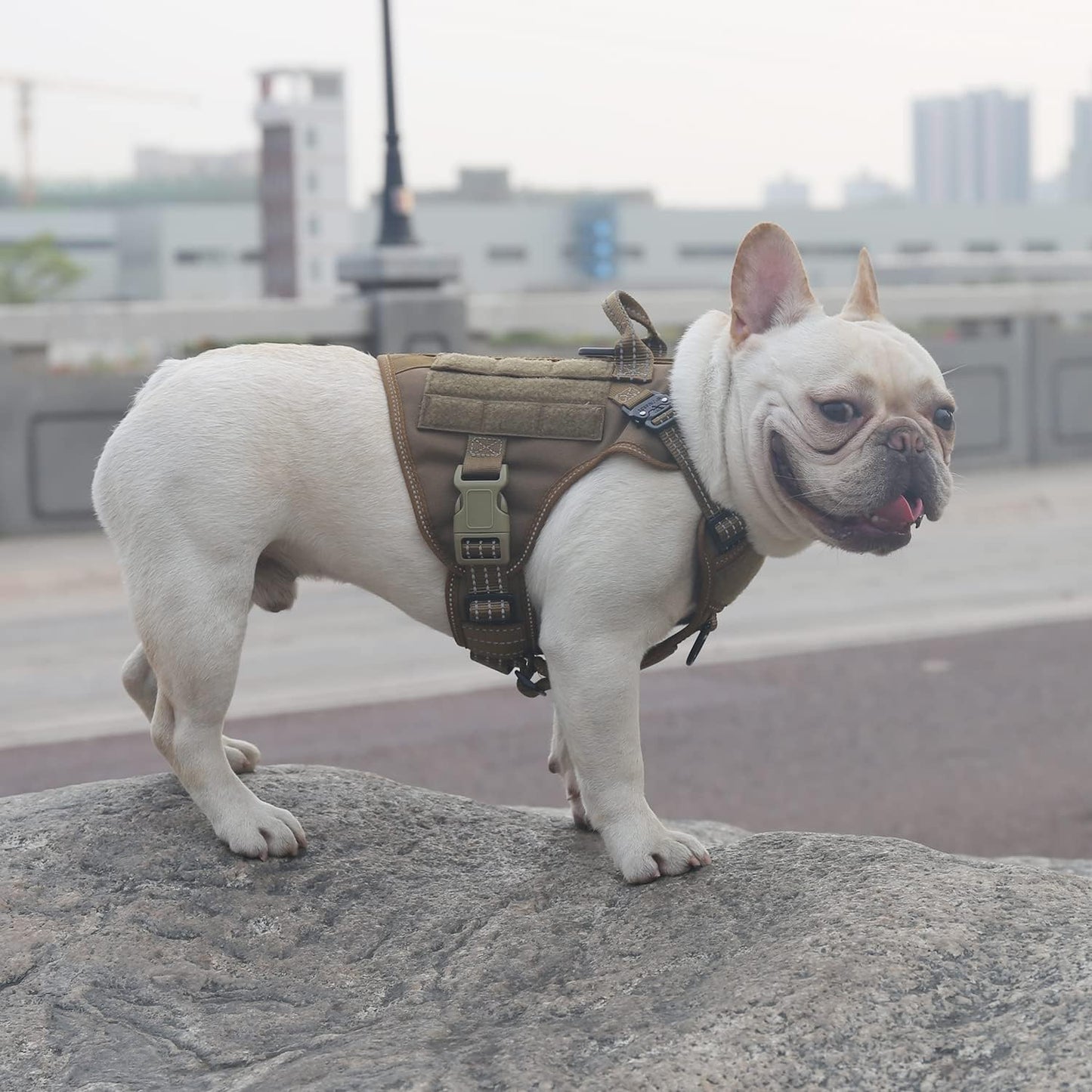 ICEFANG Tactical Dog Harness, Small Size,2X Metal Buckle,Working Dog MOLLE Vest with Handle,No Pulling Front Leash Clip,Hook and Loop Panel (Brown,S (Pack of 1))