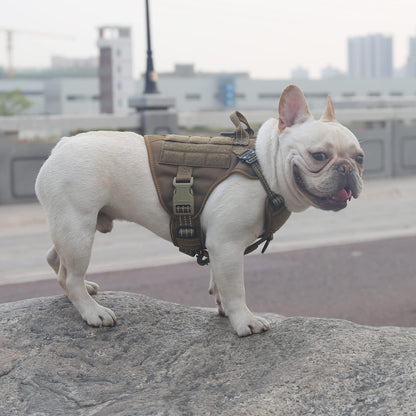 ICEFANG Tactical Dog Harness, Small Size,2X Metal Buckle,Working Dog MOLLE Vest with Handle,No Pulling Front Leash Clip,Hook and Loop Panel (Brown,S (Pack of 1))