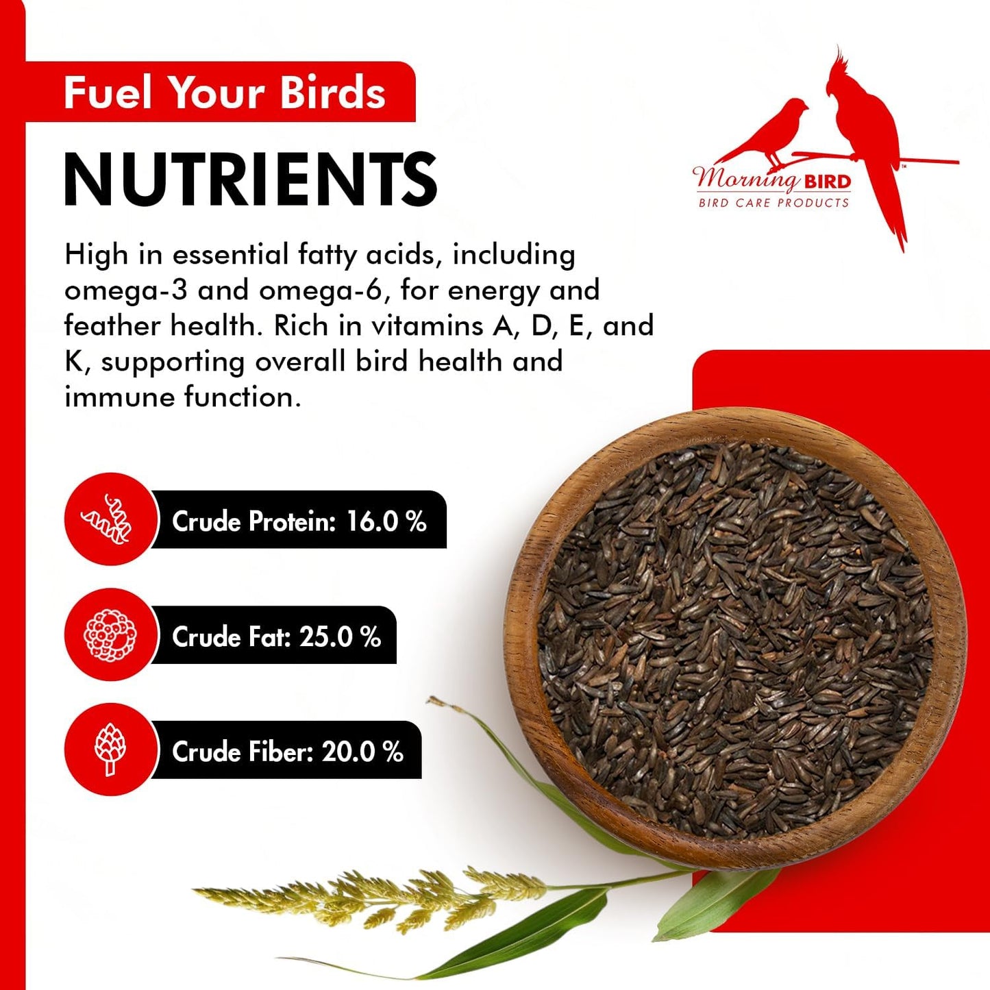 Morning Bird Nyjer Seed for Birds 1.5 lbs – Energizing Nutrition with Rich in Vitamins and Supplements – Ideal Bird Food for Breeding & Molting – Nyjer & Finch Seed for All Birds