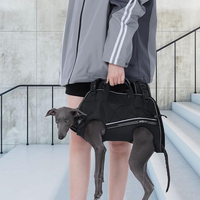 Dog Backpack Carrier for Small Dogs,Dog Lift Harness,Adjustable Padded Breathable Straps for Dogs, Disabled, Joint Injuries, Arthritis,XL(24-35LBS)