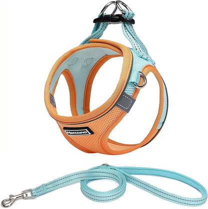 Mercano Soft Mesh Dog Harness and Leash Set, No-Chock Step-in Reflective Breathable Lightweight Easy Walk Vest Harnesses with Safety Buckle for Small Dogs, Cats (S, Orange Blue)