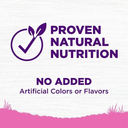 Wellness Complete Health Dry Dog Food for Small Dogs, Toy Breed, Wholesome Grains, Natural, Chicken, Brown Rice, & Peas Recipe, 4-Pound Bag