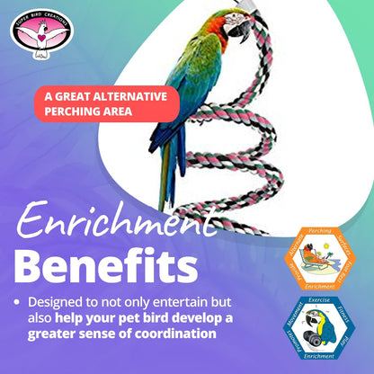 Super Bird Creations SB324 Colorful Cotton Rope Bungee Bird Toy, Medium Bird Size, 3/4" Diameter x 66"