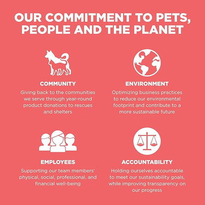 Go! Solutions Carnivore, Grain-Free, Protein Rich Dry Dog Food, Salmon and Cod Recipe, 3.5 lb Bag