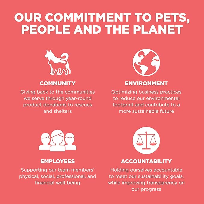 Go! Solutions Carnivore, Grain-Free, Protein Rich Dry Dog Food, Salmon and Cod Recipe, 12 lb Bag