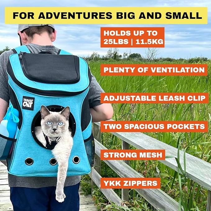 Fat Cat Backpack Carrier - Airline Approved Cat Carrier with Space Capsule Bubble for for Small Cats, Kitten - Premium Aqua Cat Carrier Backpack for Outdoor, Travel, Hiking, Pet Supplies
