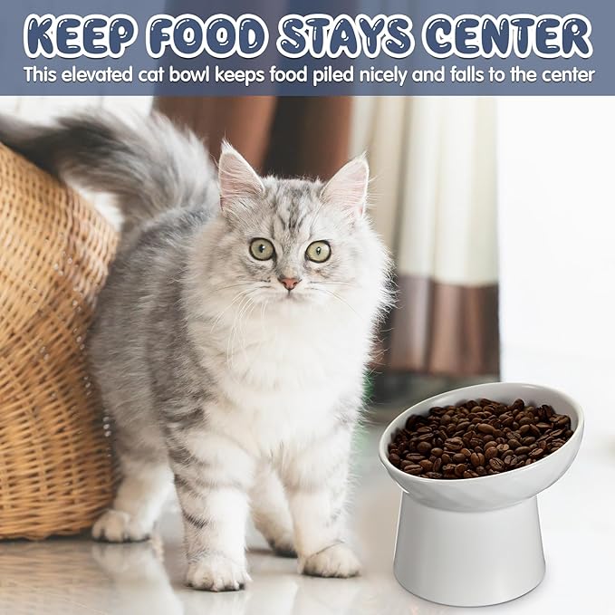 Tanlade 4 Pcs Ceramic Raised Cat Bowls, Elevated Tilted Cat Bowl, Stress Free, Backflow Prevention, Dishwasher and Microwave Safe for Indoor Kitten, Puppies(White)